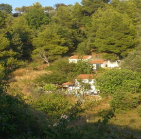 cottage in wildnes of island nature